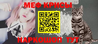 дмт Кингисепп
