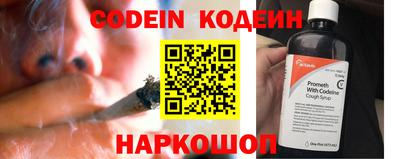 дмт Кингисепп