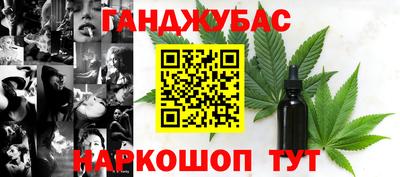 дмт Кингисепп