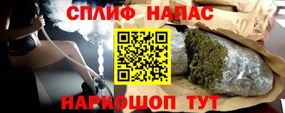 дмт Кингисепп
