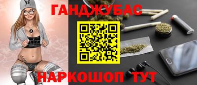 дмт Кингисепп