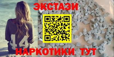 дмт Кингисепп