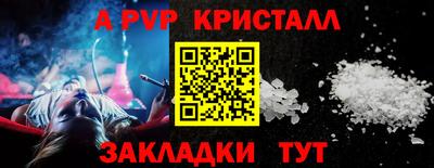 дмт Кингисепп