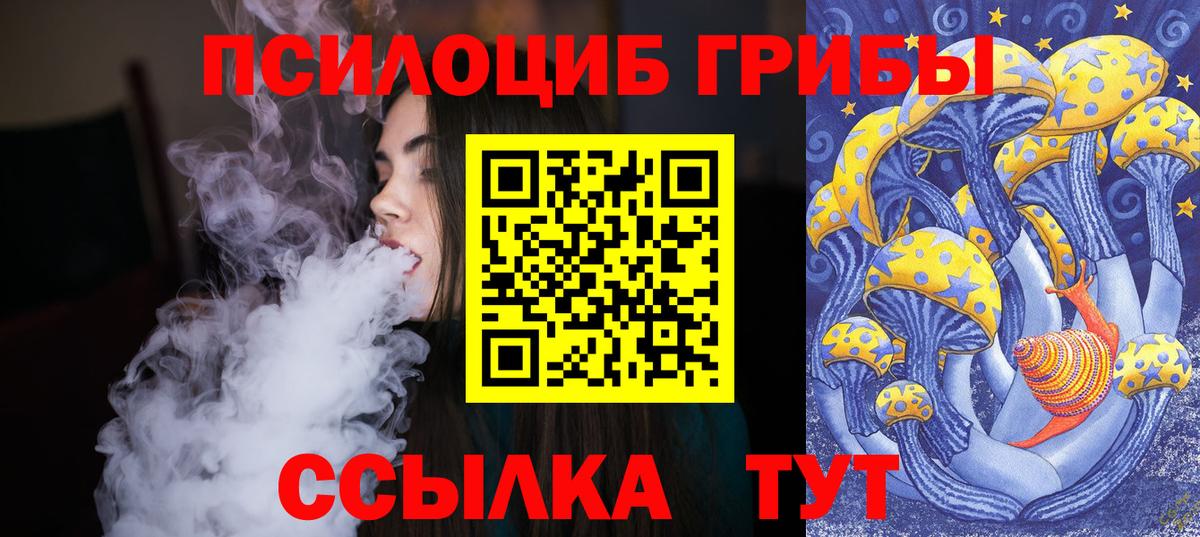Псилоцибиновые грибы мухоморы Чебоксары