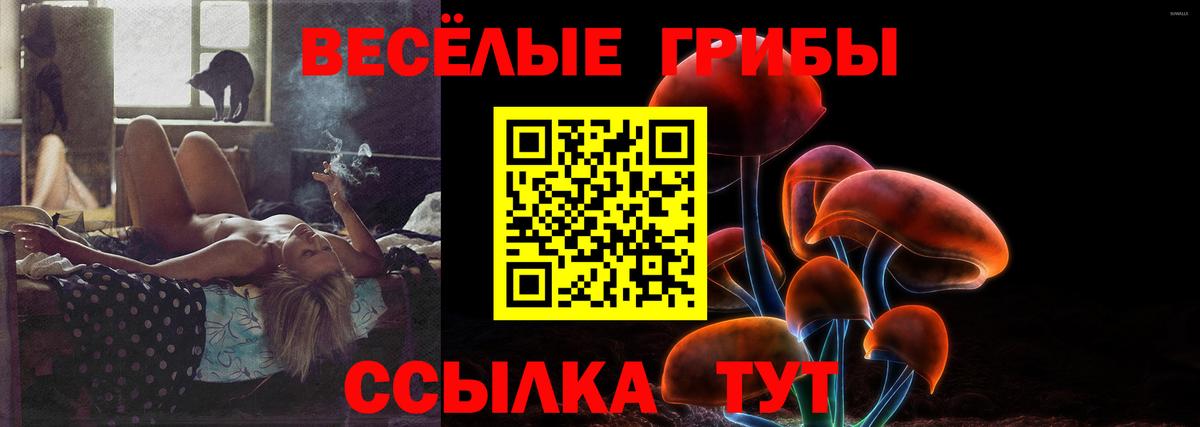 Чебоксары  Псилоцибиновые грибы прущие грибы  Вход с VPN  Псилоцибиновые грибы ЛСД 